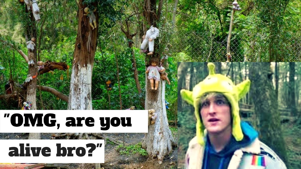 Logan Paul Japan Forest Related Keywords & Suggestions - Log