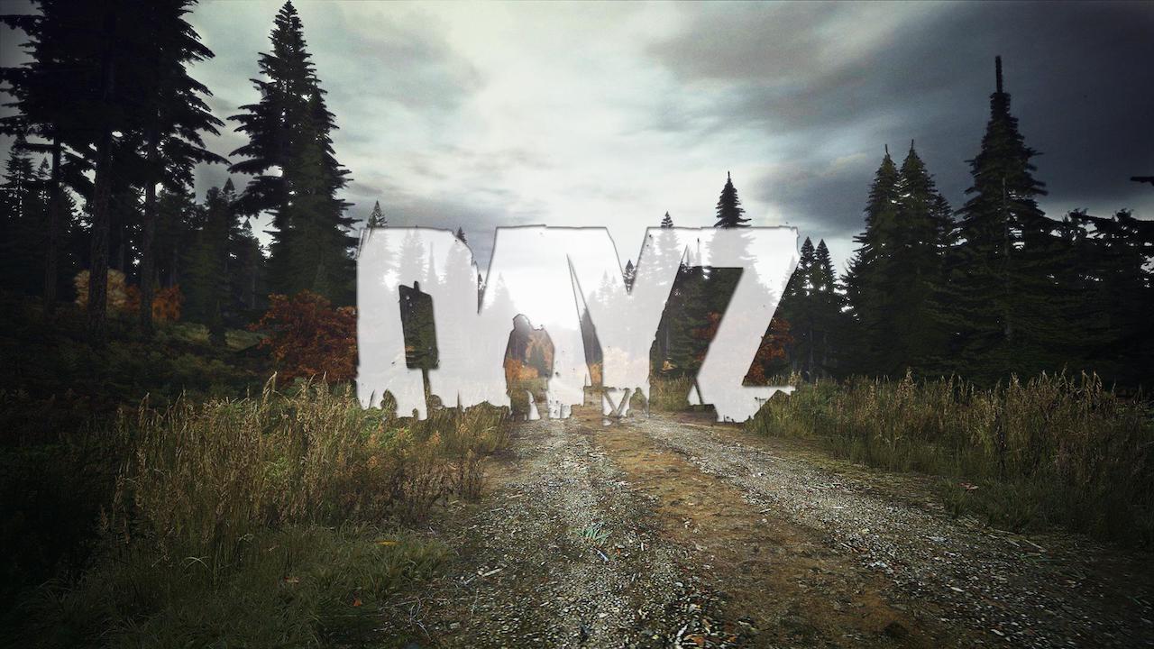 dayz