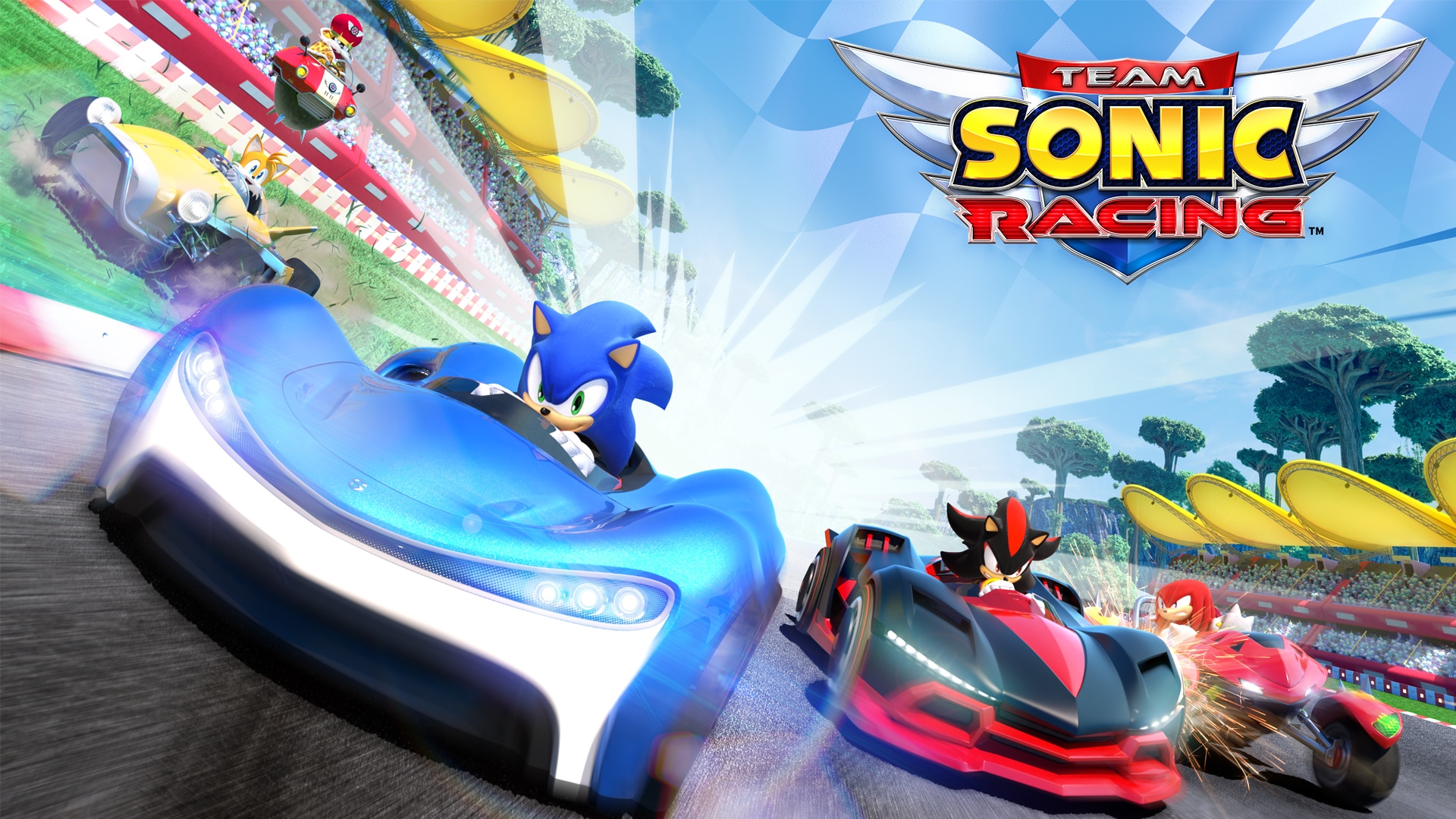 Team Sonic Racing 7