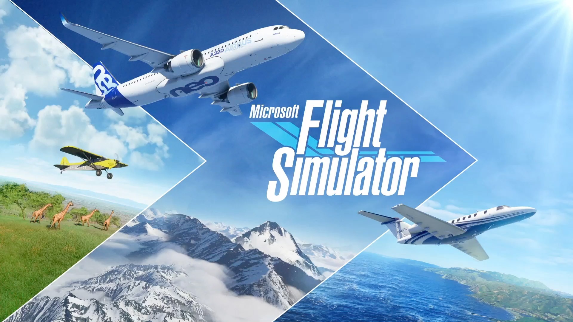 Microsoft Flight simulator