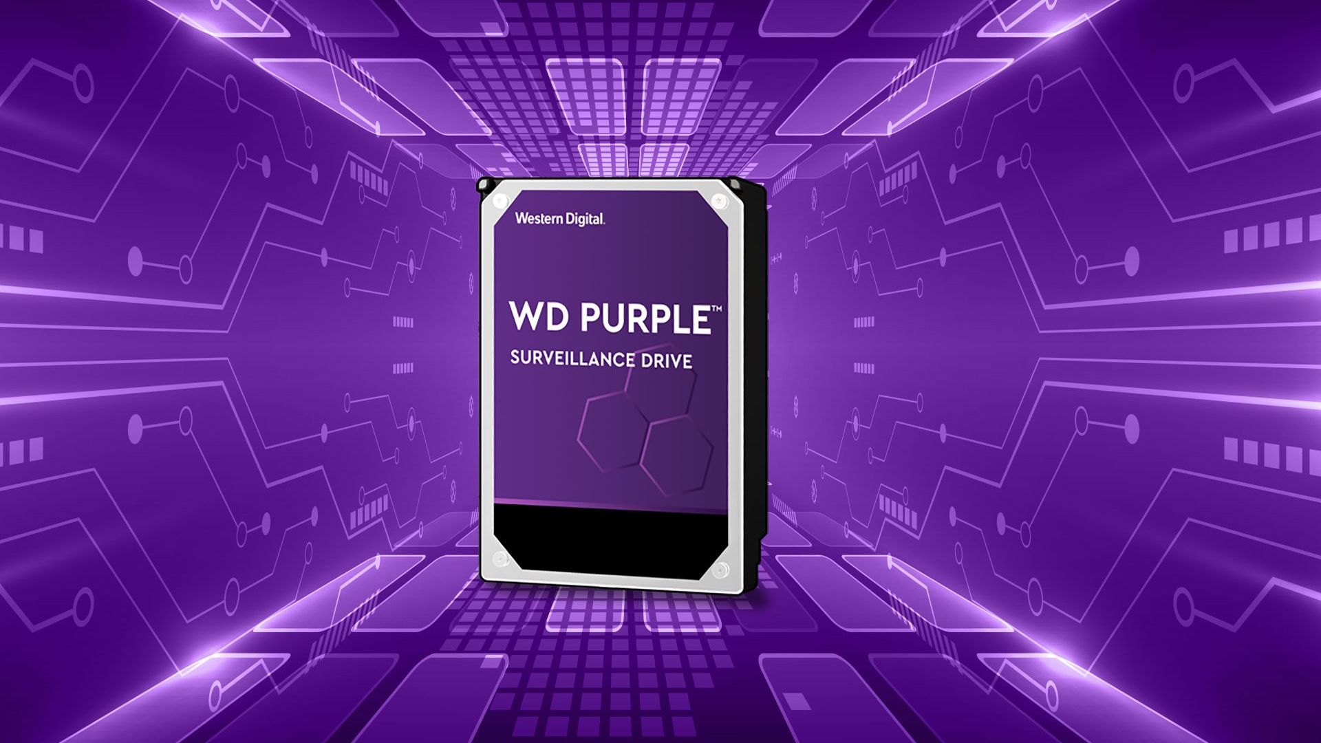 WD Purple sono le nuove soluzioni Western Digital per carichi di lavoro in streaming 24/7 | Game-eXperience.it
