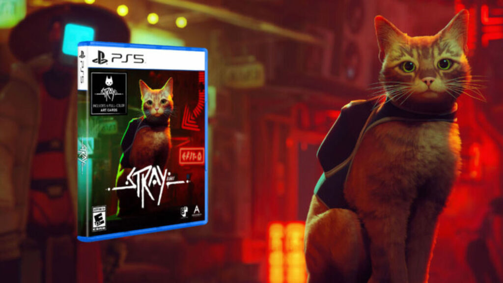 STRAY-PS5-Fisica