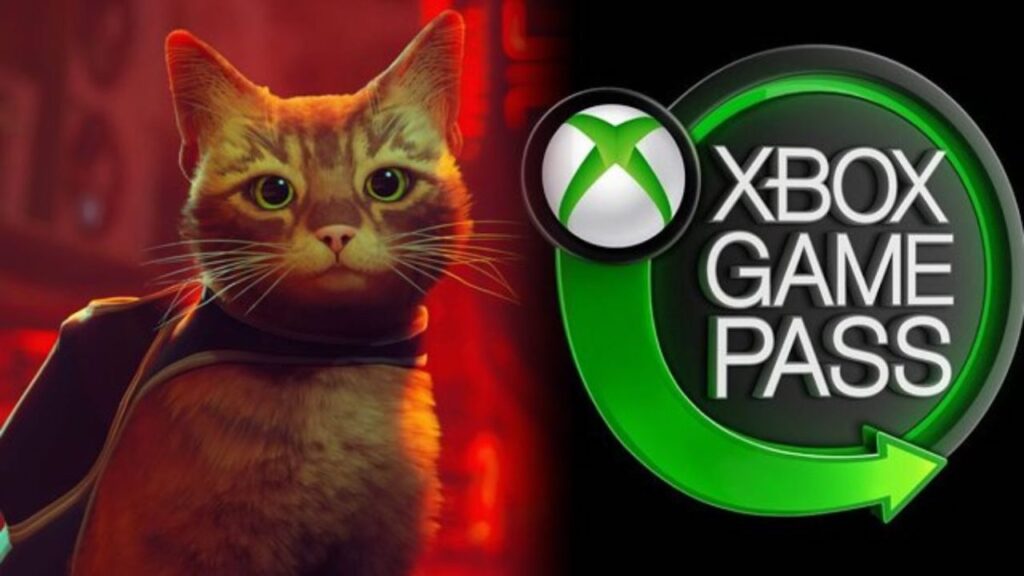 stray-approdera-xbox-game-pass-chiarezza