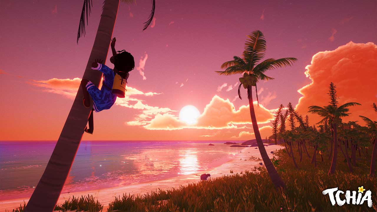 Una ragazza che scala un palma con il tramonto sullo sfondo