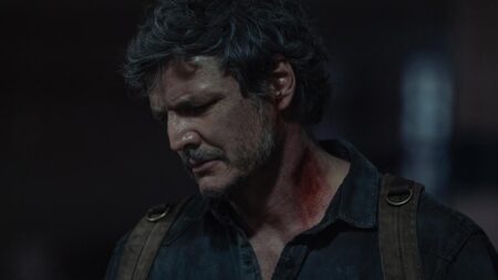 La disperazione di Joel, in un primo piano