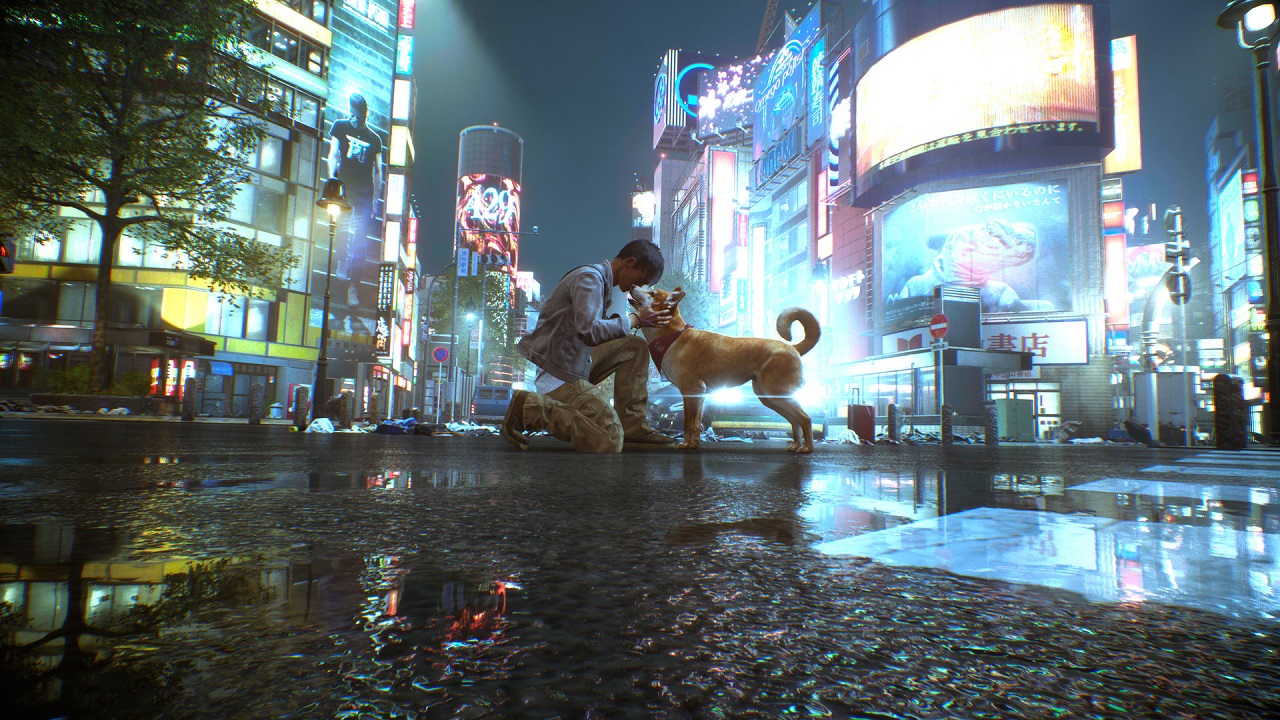 Akita coccola un cane in una Tokyo deserta