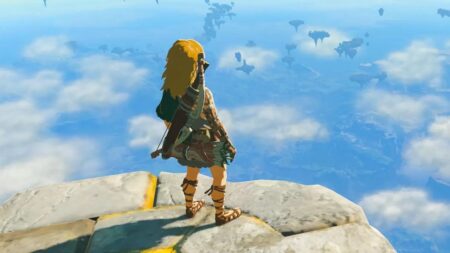 Link di The Legend of Zelda: Tears of the Kingdom che guarda l'orizzonte con i capelli sciolti