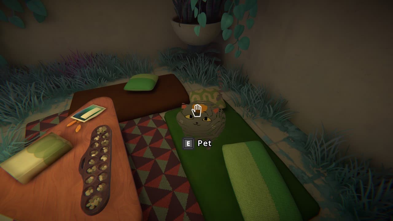 Gatto viene accarezzato in una casa, sopra un tappeto