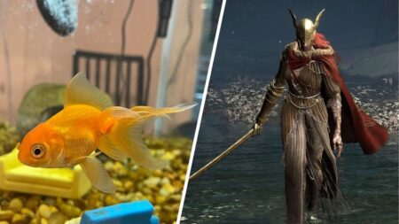 Elden Ring, un pesce rosso ha sconfitto Malenia giocando da solo Il pesce rosso Tortellini con al fianco Malenia di Elden Ring