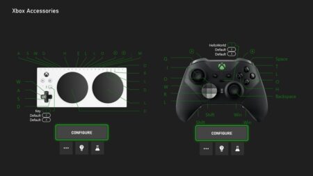 Due controller Xbox