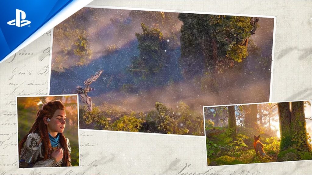 Alcune cartoline con alberi di Horizon Forbidden West di Aloy's Forest