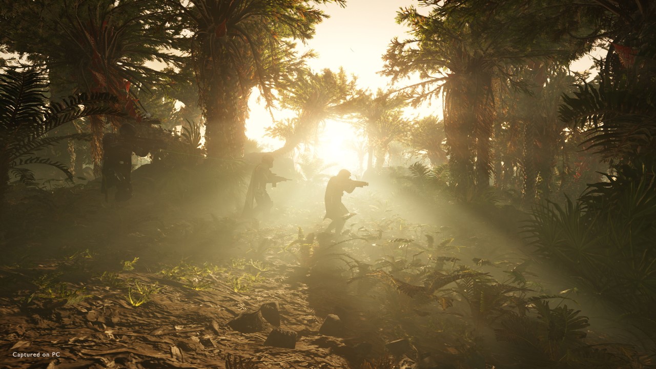 Soldati esplorano un pianeta di Helldivers 2 con la nebbia, in una foresta