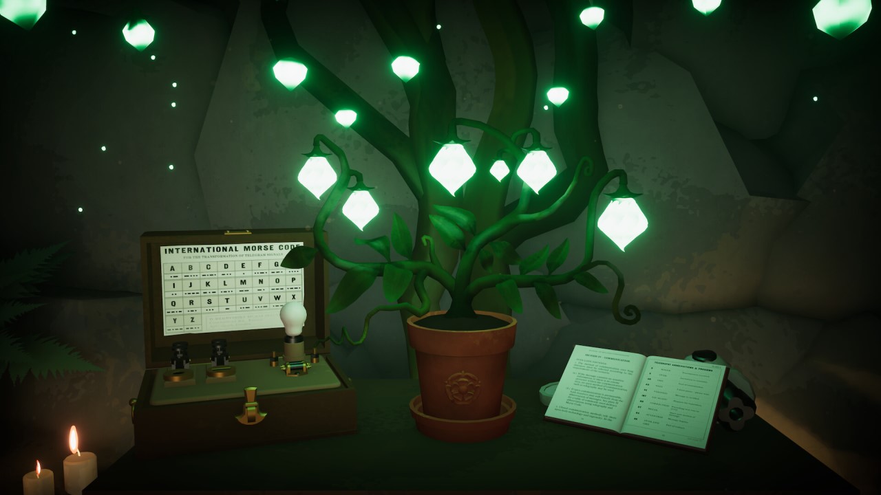 Immagine in penombra di una pianta in fiore, con accanto una lampada e guida codice morse