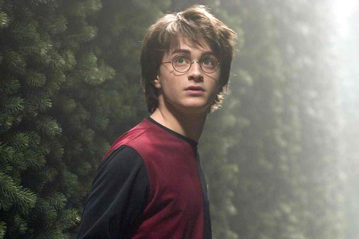 Harry Potter videogioco che tutti hanno dimenticato