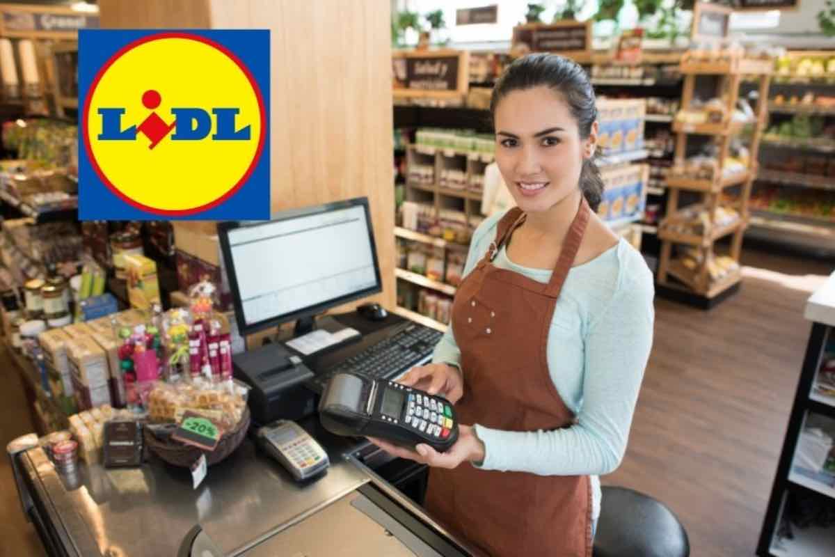 Cassiera Lidl quanto prende di stipendio?