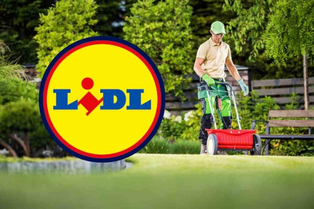 Sistemare il giardino