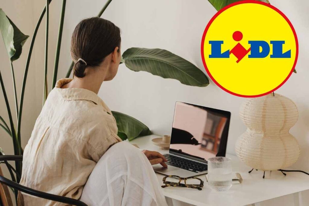 Donna al computer