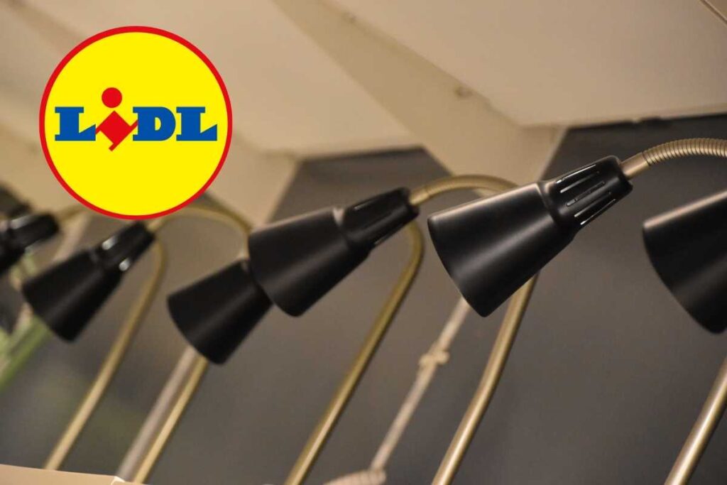 Logo LIDL lampada