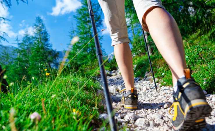 Montagna, persona che cammina