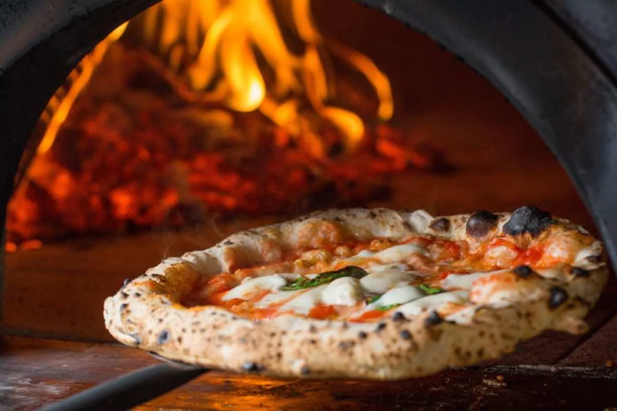Forno pizze occasione unica