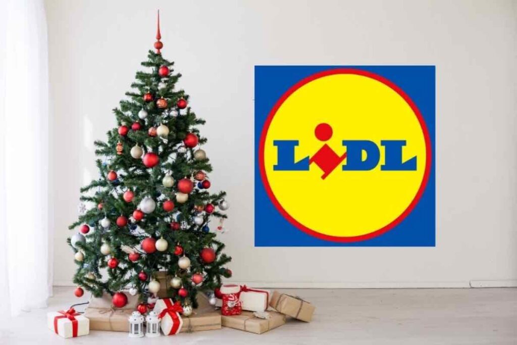 Dalla Lidl è arrivato già Natale: l’albero come quelli americani ad un prezzo ridicolo Lidl è arrivato il Natale