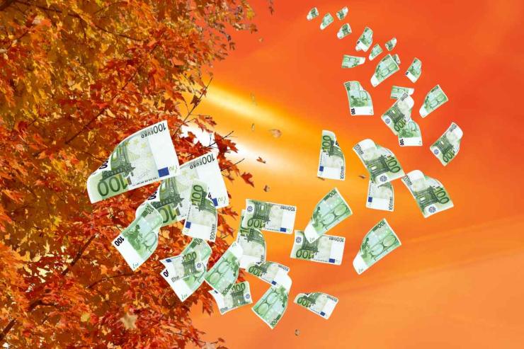 Pagamento Assegno Unico di ottobre: ecco le date di pagamento ufficiali Soldi e albero autunnale
