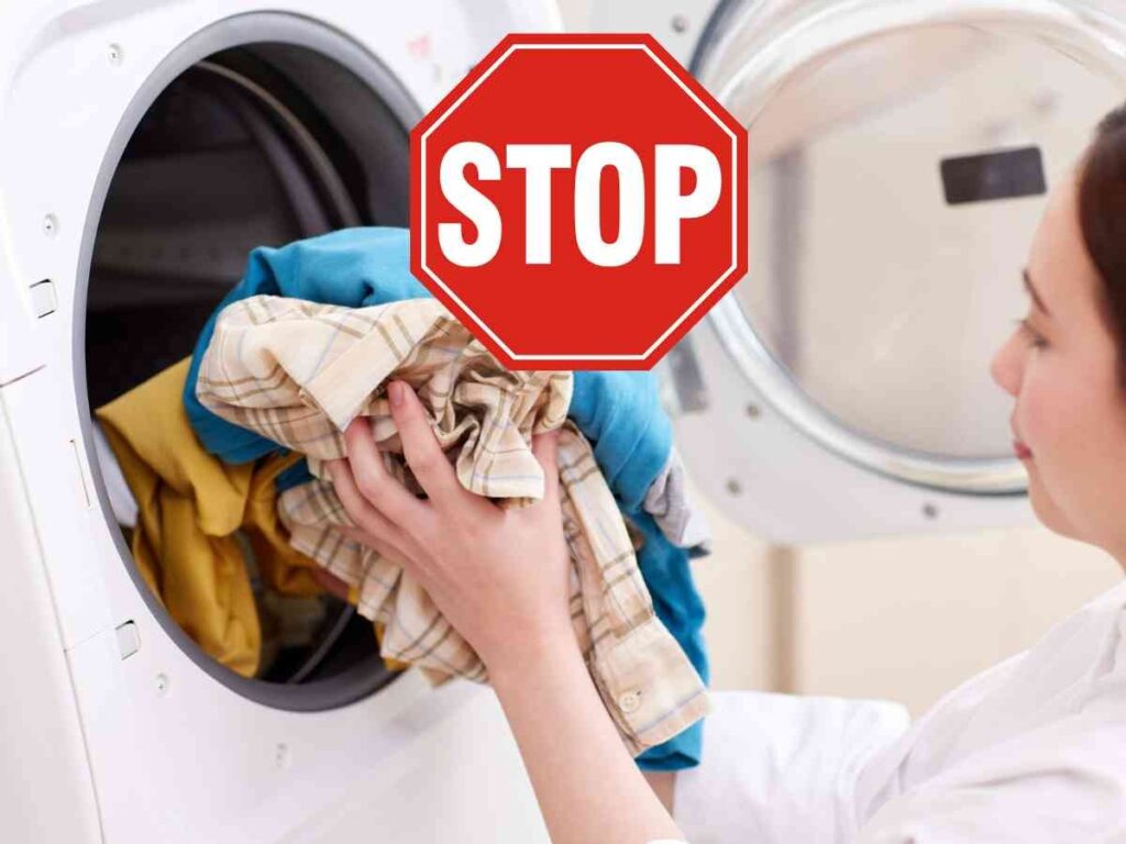 alternativa asciugatrice