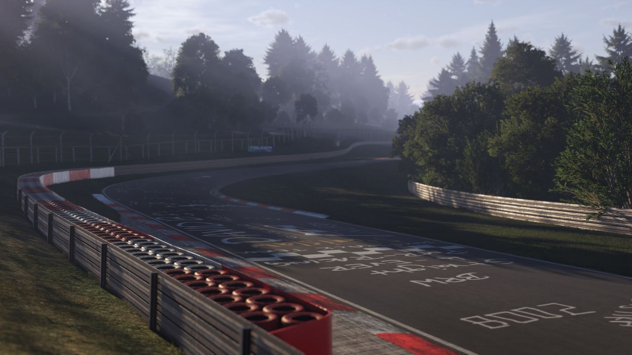 Scorcio di una curva del Nurburgring in Project Motor Racing